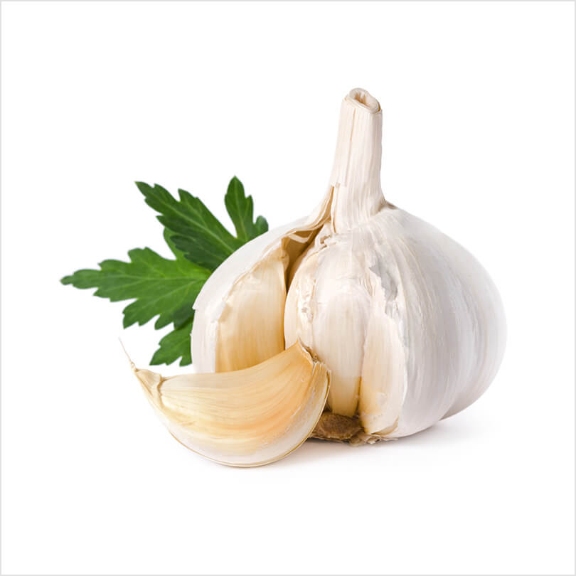 Garlic