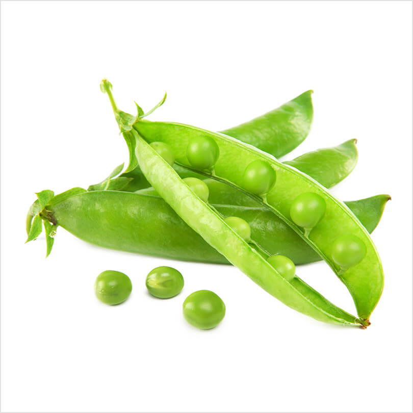 Pea