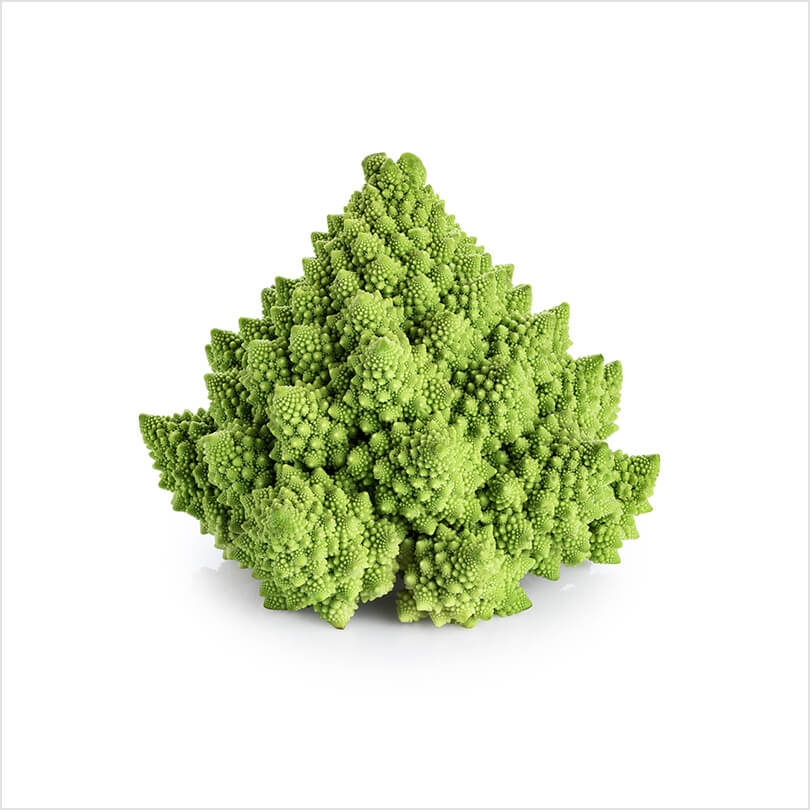 PRODRONE PD6B-AW-ARM