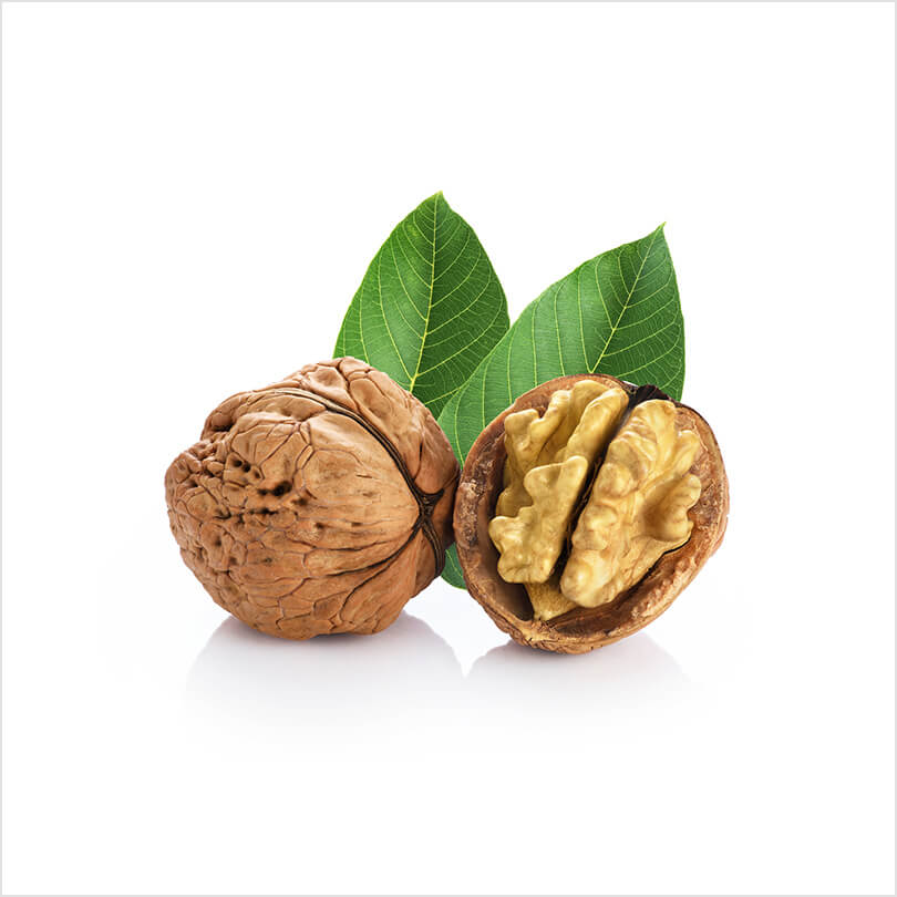 Walnut