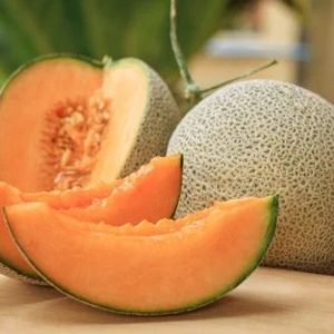 Fresh Muskmelon