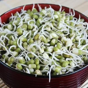 Bean Sprout