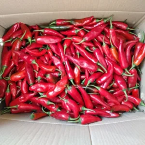 Fresh Achari Red Chilli