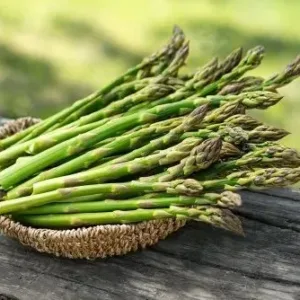 Fresh Asparagus