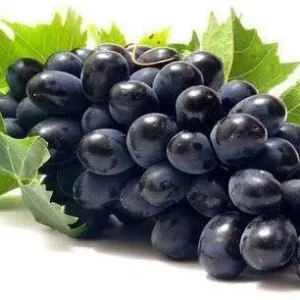 Fresh Black Grapes