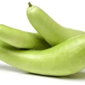 Fresh Bottle Gourd