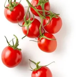 Fresh Cherry Tomato