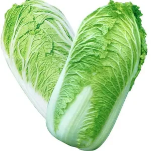 Fresh Chinese Cabbage