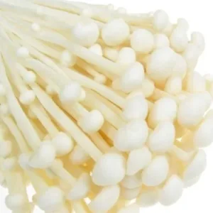 Fresh Enoki Mushroom