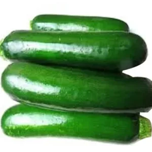 Fresh Green Zucchini