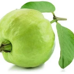 Fresh Guava