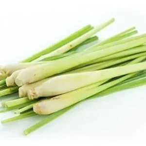 Fresh Lemon Grass