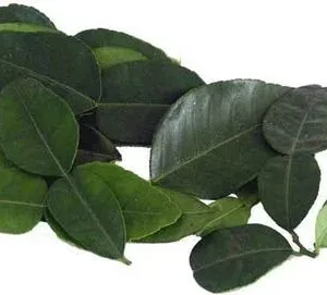 Fresh Lemon Leaf