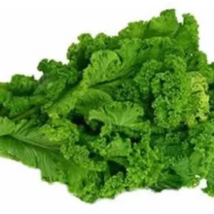 Fresh Mustard Leaves