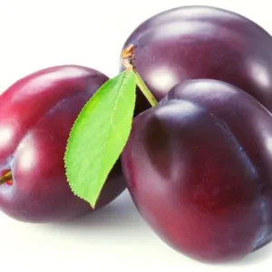 Fresh Plums