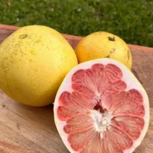 Fresh Pomelo