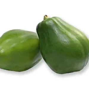 Fresh Raw Green Papaya