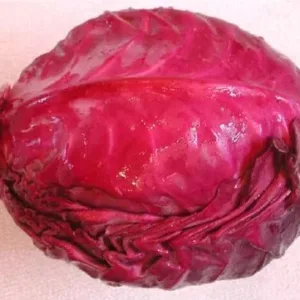 Fresh Red Cabbage