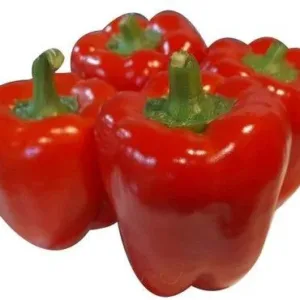 Fresh Red Capsicum
