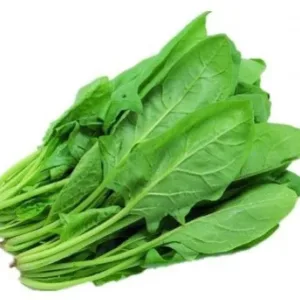 Fresh Spinach Leaves
