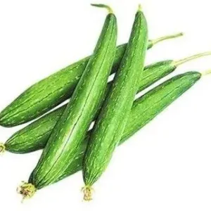 Fresh Sponge Gourd