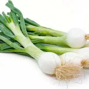 Fresh Spring Onion